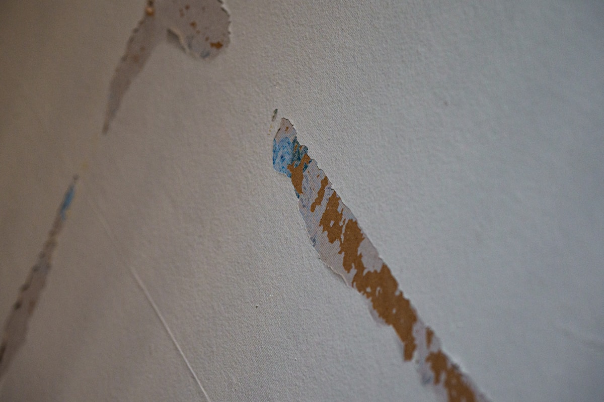 Mold Remediation service in Appleton, WI